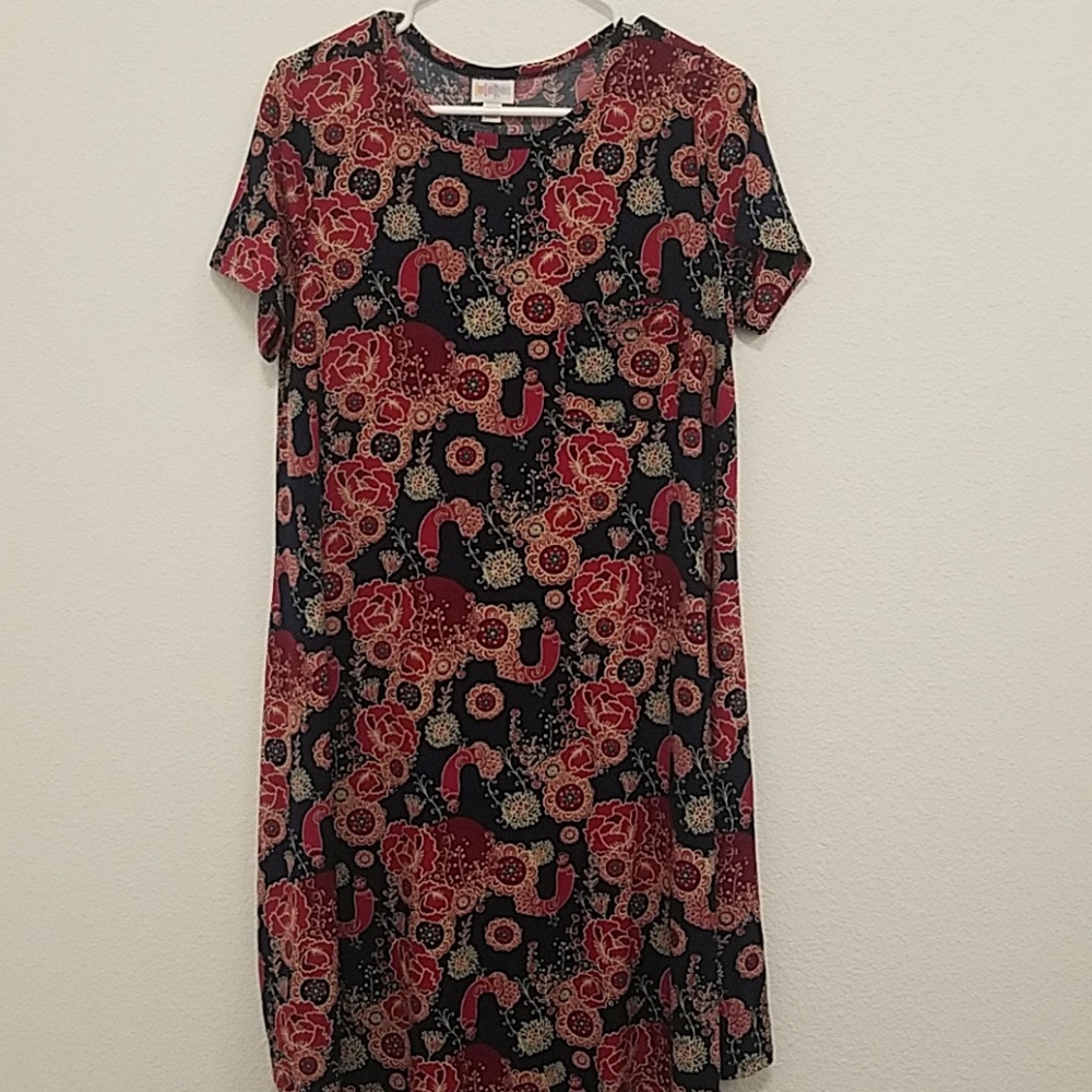 Lularoe Carly Dress